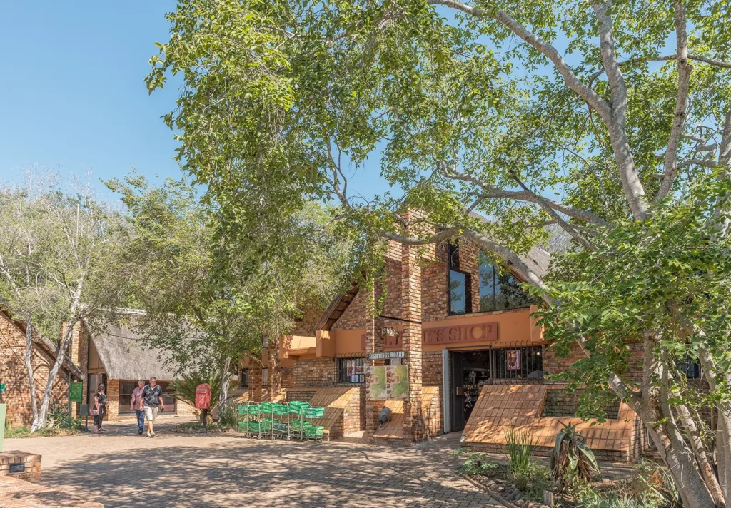  Discover the best camping sites in Mpumalanga for an unforgettable outdoor experience. Explore nature, wildlife, and adventure in stunning locations.