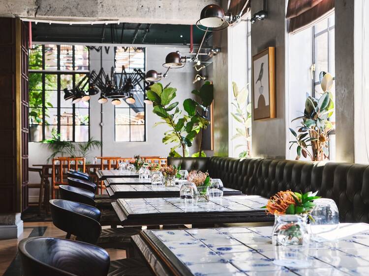 Discover the best restaurants in Cape Town, from fine dining to hidden gems. Explore Cape Town’s vibrant culinary scene with our expert guide.